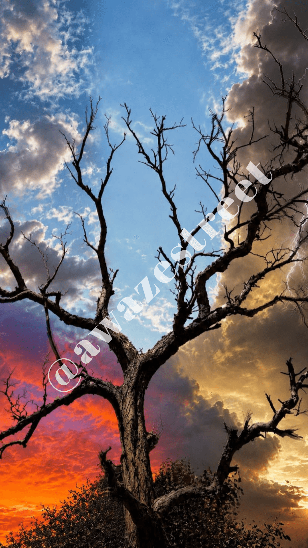 Sky of Blue